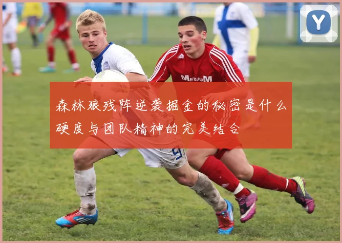 森林狼残阵逆袭掘金的秘密是什么硬度与团队精神的完美结合