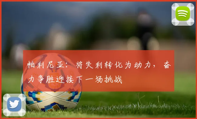 帕利尼亚：将失利转化为动力，奋力争胜迎接下一场挑战
